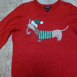 christmas doxie red sweater cutecutecute